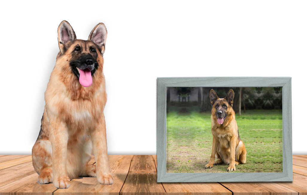 custom made stuffed animals of your pet