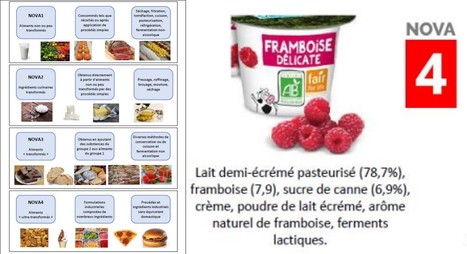 Aliments ultra-transformés : de quoi parle-t-on ? | Lait de Normandie... et d'ailleurs | Scoop.it