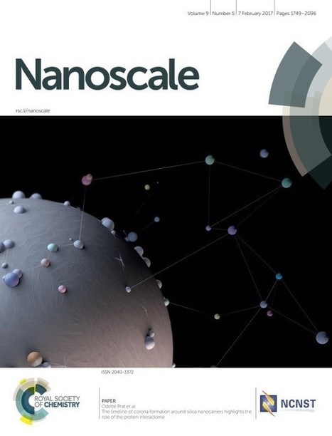 Nanoparticules : mieux prédire leur impact | Prévention du risque chimique | Scoop.it