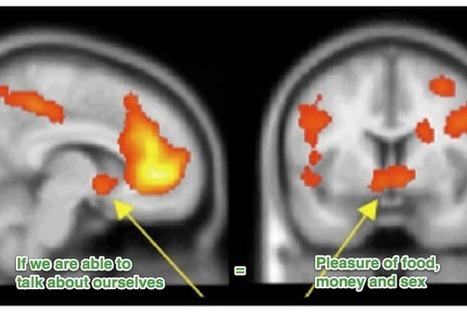 7 Social Media Psychology Studies That'll Make Your Marketing Smarter | Public Relations & Social Marketing Insight | Scoop.it