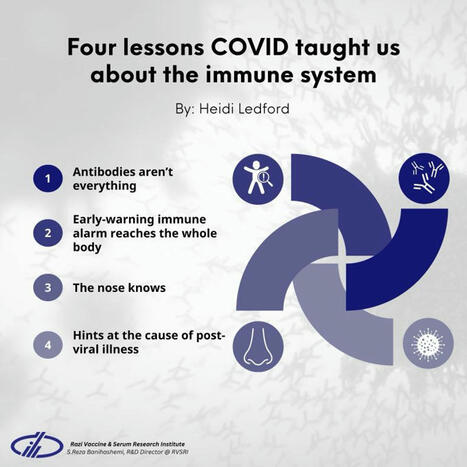 SeyedReza Banihashemi on LinkedIn: #immunology #covid19 | Immunology | Scoop.it
