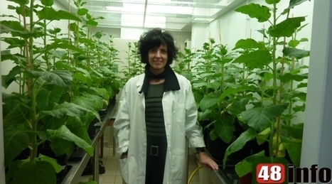 Une universitaire lozérienne a fait des découvertes  qui pourraient transformer  l'agriculture de demain - 48info | SEED-DREAM Lab info | Scoop.it