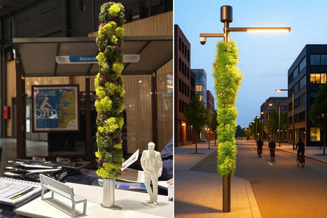 Mube, une colonne végétalisée prête à poser pour la renaturation des villes | Paysage - Agriculture | Scoop.it