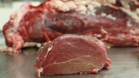 Belgique. Bastogne: Veviba cherche un repreneur | La Gazette des abattoirs | Scoop.it