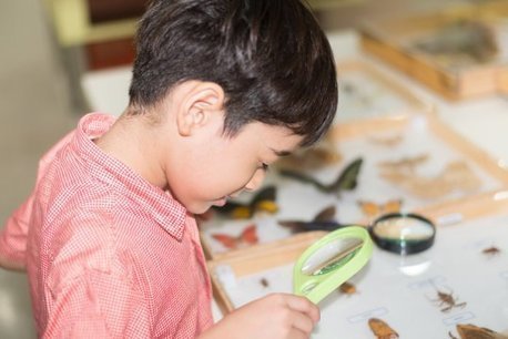 STEM Enrichment activities have no impact on exam results | In the news: data in the UK Data Service collection across the web | Scoop.it