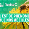 Biodiversité - @ZEHUB on Twitter