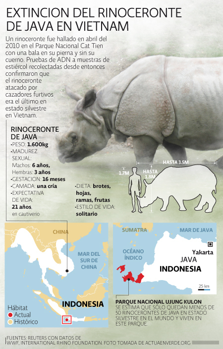 Cazadores asesinan al último rinoceronte de Java - El Economista.com.mx | La R-Evolución de ARMAK | Scoop.it