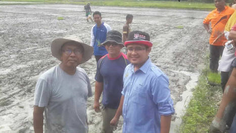 MALAYSIA: SRI Efforts Ramp Up in Sabah, Sarawak and Peninsular Malaysia | SRI Global News: Nov. 2024 - Jan. 2025  *SRI-Rice  --     System of Rice Intensification | Scoop.it