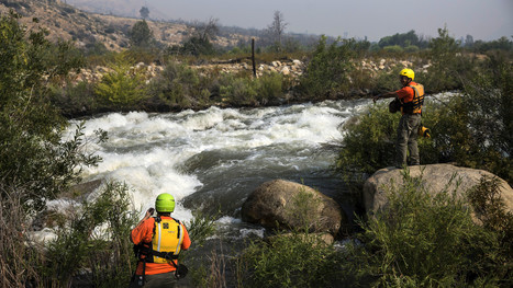 After the drought, the 'Killer Kern' river is a different beast | Sustainability Science | Scoop.it