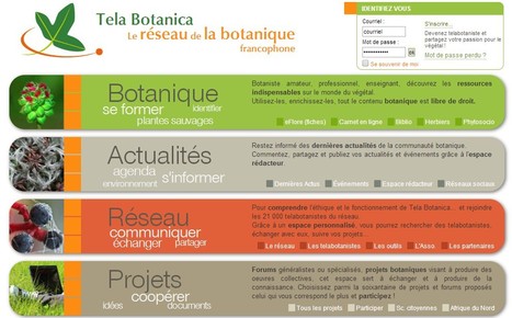 Tela Botanica | Le réseau de la botanique francophone | Hobby, LifeStyle and much more... (multilingual: EN, FR, DE) | Scoop.it