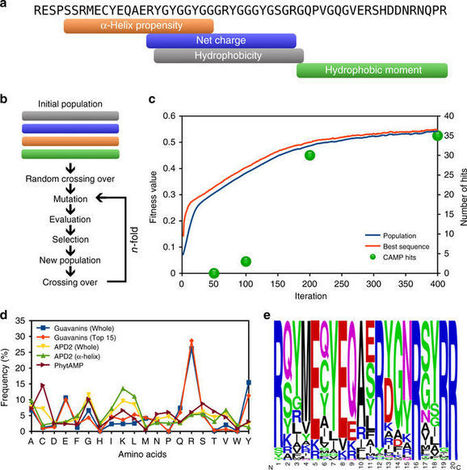 In silico optimization of a guava antimicrobial peptide enables combinatorial exploration for peptide design | RMH | Scoop.it