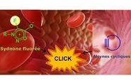 Voir une tumeur en imagerie TEP par chimie &laquo; click &raquo; in vivo | Life Sciences Universit&eacute; Paris-Saclay | Scoop.it