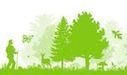 Nouveau sch&eacute;ma de certification foresti&egrave;re pour PEFC France | Plan&egrave;te, Nature et Biodiversit&eacute; | Scoop.it