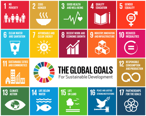 Sustainable Development Goals of the United Nations: The contribution of the private sector : McGill Reporter | Global Sustainable Development Goals in Education | Scoop.it