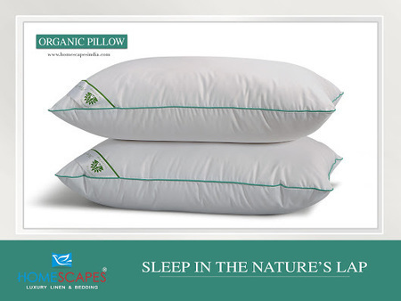 Aloe Vera Gel Fiber Pillows In Home Scapes Scoop It
