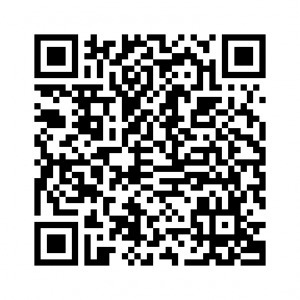 QR Codes | LinkLocal Web Marketing | QR-Code and its applications | Scoop.it