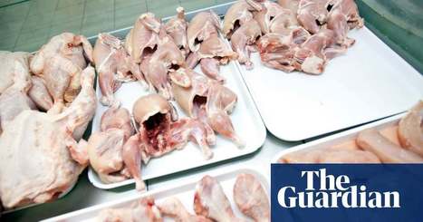 Farmers pile pressure on UK government over chlorinated chicken | Environment | The Guardian | Macroeconomics: UK economy, IB Economics | Scoop.it