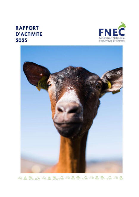 Rapport d'activit&eacute; 2025 FNEC&nbsp; | SCIENCES DE L' ANIMAL | Scoop.it