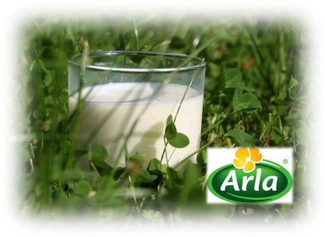Arla Foods : Le prix du lait de janvier 2024 augmentera de 3,0 €c/kg | Lait de Normandie... et d'ailleurs | Scoop.it