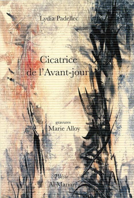 (Prix) Le Prix Saint Quentin-en-Yvelines des Collégiens lecteurs de poésie 2019 à Lydia Padellec | Poezibao | Scoop.it