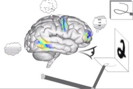 Scientists Create Artificial Brain With 2.3 Million Simulated Neurons | Science News | Scoop.it
