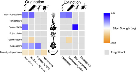 Diversification and extinction of Hemiptera in deep time | L’Institut de Systématique, Évolution, Biodiversité | EntomoNews | Scoop.it