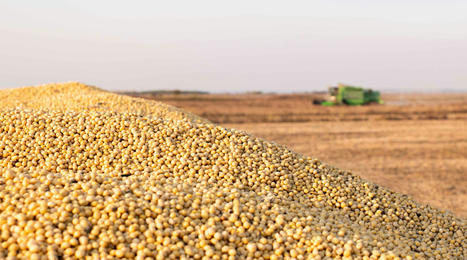 Transforming a Crude Oil Refinery Into a Soybean Crush Plant | Procédés | Scoop.it