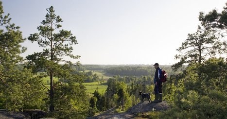 Metsäkylpy käy lääkkeestä, sillä luonnossa ihmisen ihon ja suoliston mikrobisto rikastuu ja aivojen lepotilaverkosto aktivoituu | 1Uutiset - Lukemisen tähden | Scoop.it