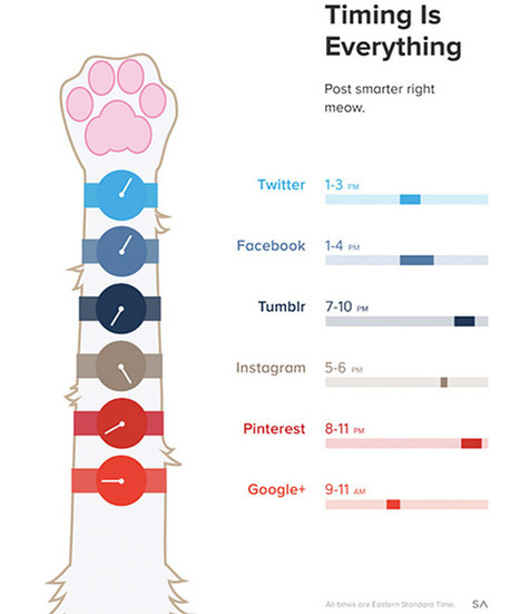 Post Smarter: The Best Times to Use Social Platforms (Infographic) | Online tips & social media nieuws | Scoop.it