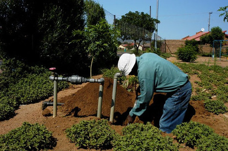 Rio+20 Business Focus: Reducing water and energy waste for a sustainable future | RTCC | @The Convergence of ICT, the Environment, Climate Change, EV and HEV Transportation & Distributed Renewable Energy | Scoop.it