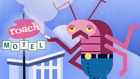 La pratique douteuse qui a co&ucirc;t&eacute; 2,5 milliards de dollars &agrave; Amazon | &Eacute;conomie comportementale | Scoop.it