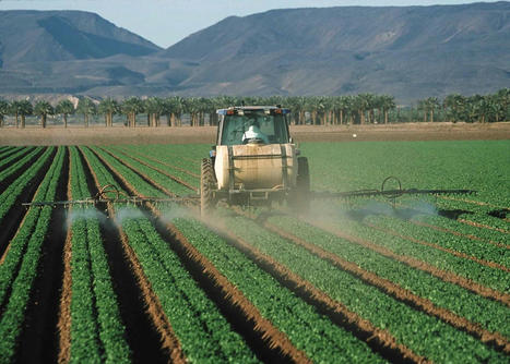 Testing Finds Toxic 'Forever Chemicals' in Common U.S. Food Pesticides - EcoWatch.com | Agents of Behemoth | Scoop.it