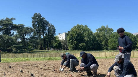 Dans cette ferme de Nantes, on commence à cultiver des légumes bio pour les habitants des HLM - Ouest France [Abonnés] | Agriculture et communication positive | Scoop.it