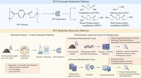 Artificial Intelligence-assisted Mining of Polyethylene Terephthalate Hydrolases | RMH | Scoop.it