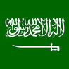 Saudi Expatriate, Life in Saudi Arabia KSA