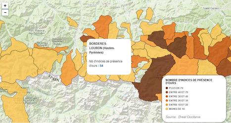 Pyrénées : dans quelles zones l'ours est-il le plus présent ? | Vallées d'Aure & Louron - Pyrénées | Scoop.it