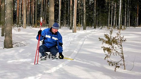 Lumijälkiä lasketaan lumisilla seuduilla – Piilottelevinkin nisäkäs jättää jäljet | 1Uutiset - Lukemisen tähden | Scoop.it