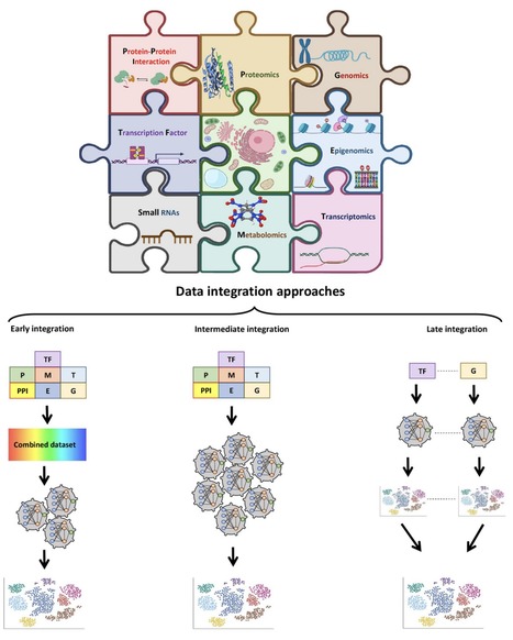 Review in Appl Microbiol Biotechnol • Torkamaneh Lab 2022 • Machine learning: its challenges and opportunities in plant system biology | Reviews | Scoop.it