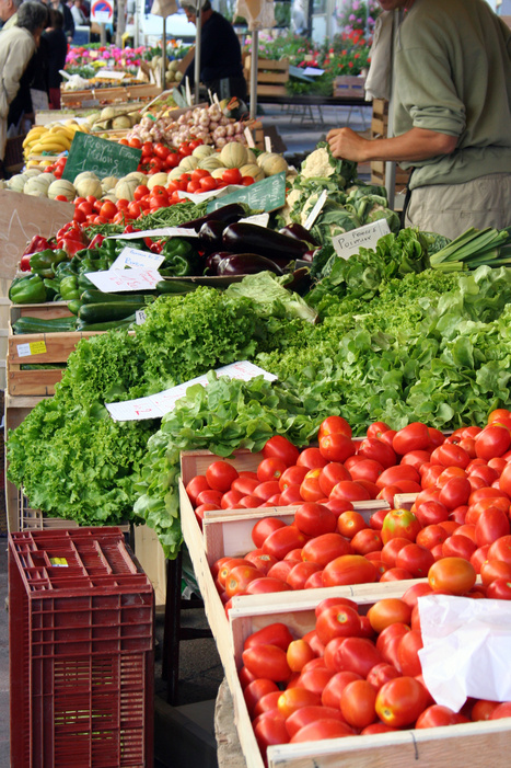 Quelles places de l&rsquo;agriculture et de l&rsquo;agroalimentaire fran&ccedil;ais dans une offre alimentaire &agrave; bas prix ? - CGAER | Pour innover en agriculture | Scoop.it