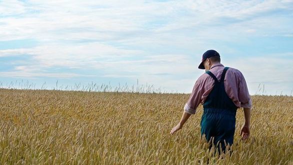 Avancées de l'Inra en matière de biocontrôle
