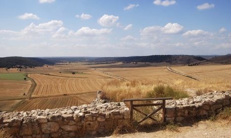 La tranquilidad marca 2015 en los mercados de cereales | MED-Amin network | Scoop.it