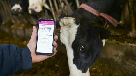 Fuite à l’étranger, risque de spéculations… Le Big Data agricole, ce nouvel or si peu encadré - Ouest France [Abonnés] | Agriculture en Pays de la Loire | Scoop.it