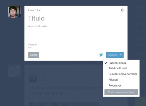 Breve tutorial sobre cómo se publica en Tumblr | TIC & Educación | Scoop.it