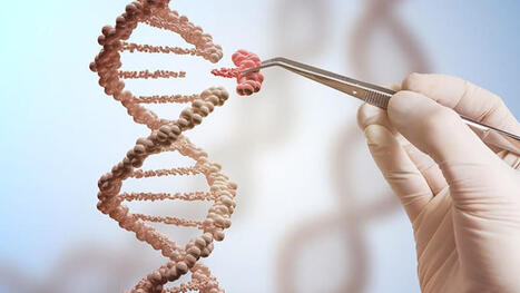 Etats-Unis : les (fausses) promesses de l&rsquo;eug&eacute;nisme embryonnaire | Bio&eacute;thique & Procr&eacute;ation | Scoop.it