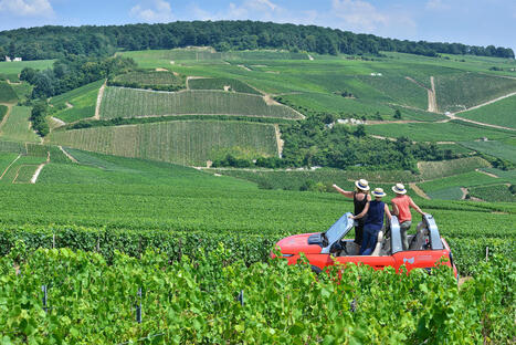 EUROPE's traditional FOOD scheme becomes a global tourism goldmine | CIHEAM Press Review | Scoop.it