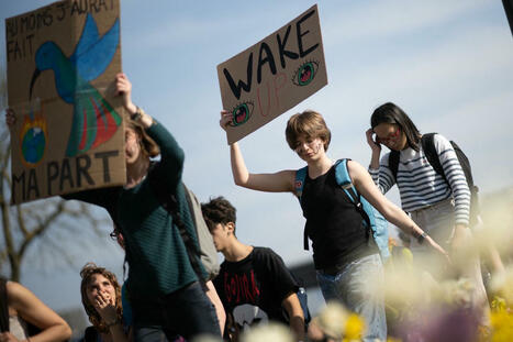 Même si l’océan entrait en ébullition, le climatoscepticisme persisterait : la théorie du « marché des idées » invalidée | EntomoScience | Scoop.it