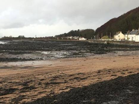 Green MSP slams Sepa for closing probe into beach oil spill / 15.04.2019 | Pollution accidentelle des eaux (+ d&eacute;chets plastiques) | Scoop.it