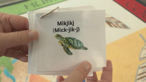 Mi'kmaw language renewal in Lennox Island reaching generations both new and old&nbsp; | Language and Culture | Scoop.it