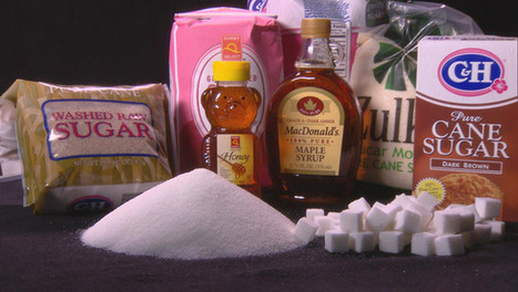 Is sugar toxic? - 60 Minutes CBS News | YOUR FOOD, YOUR ENVIRONMENT, YOUR HEALTH: #Biotech #GMOs #Pesticides #Chemicals #FactoryFarms #CAFOs #BigFood | Scoop.it
