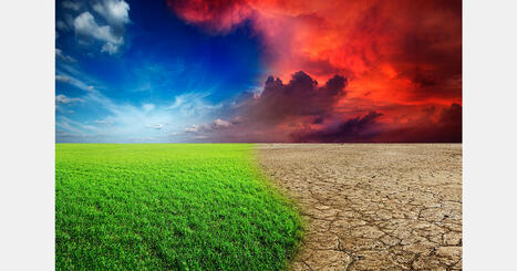 ENVIRONEMENT: Türkiye's agriculture faces climate risks, needs adaptation | DURABILITES | Scoop.it